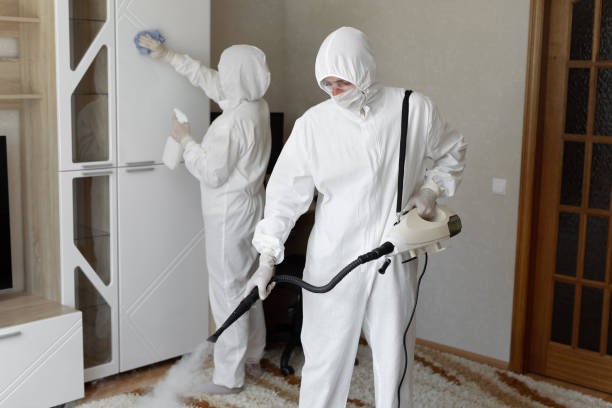 Best Commercial Mold Removal  in Hilton, NY